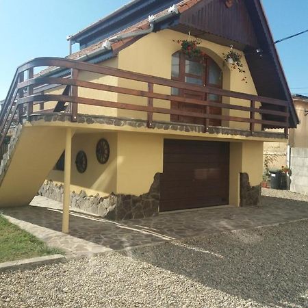 Bed and Breakfast Casa Vlasea Albesti Сигишоара Экстерьер фото