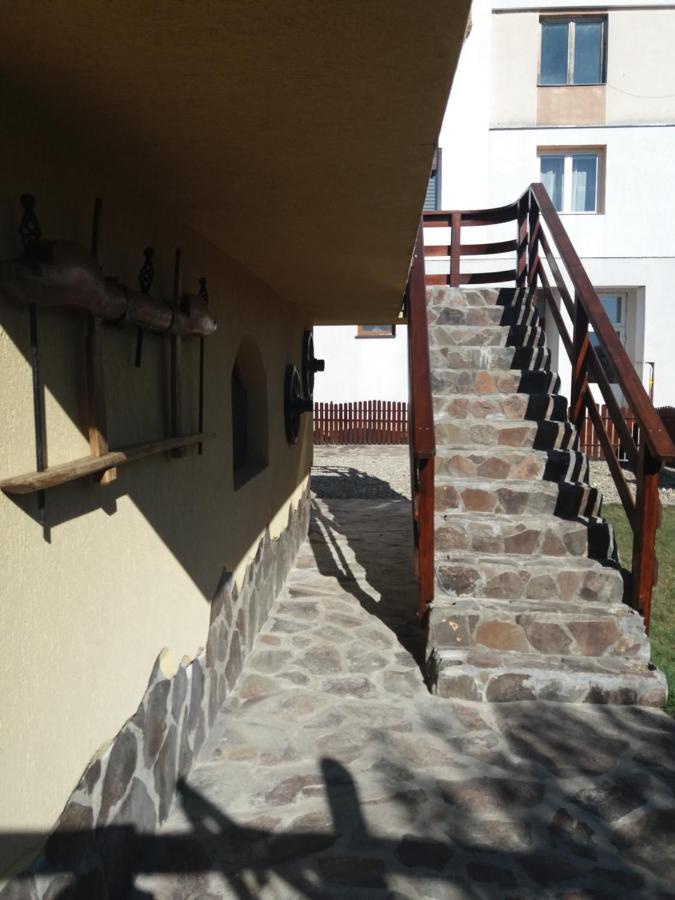 Bed and Breakfast Casa Vlasea Albesti Сигишоара Экстерьер фото